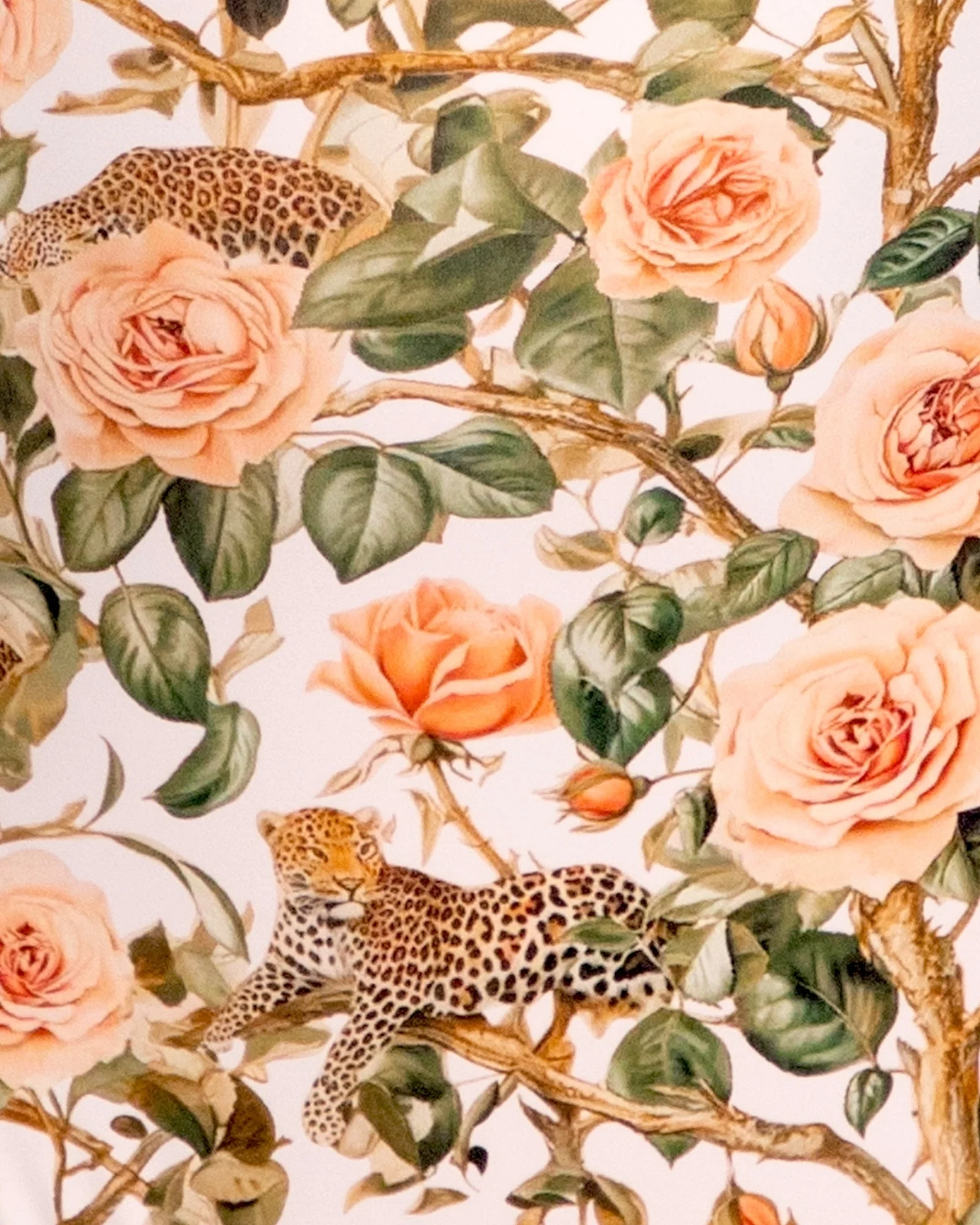 Brazilian Lifty - Contour Rose Leopard/Peach Blush 5 Brazilian Lifty - Contour Rose Leopard/Peach Blush